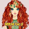 little-bird