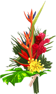 http://pt.ohmydollz.com/img/big/51470.png