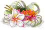 http://pt.ohmydollz.com/img/big/51472.png